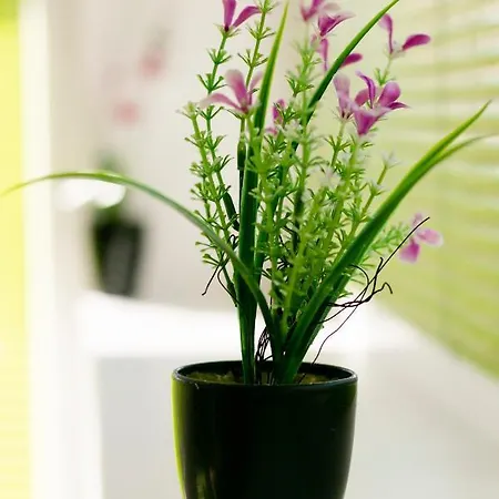 Luxury Apartment-rome In Centar * София